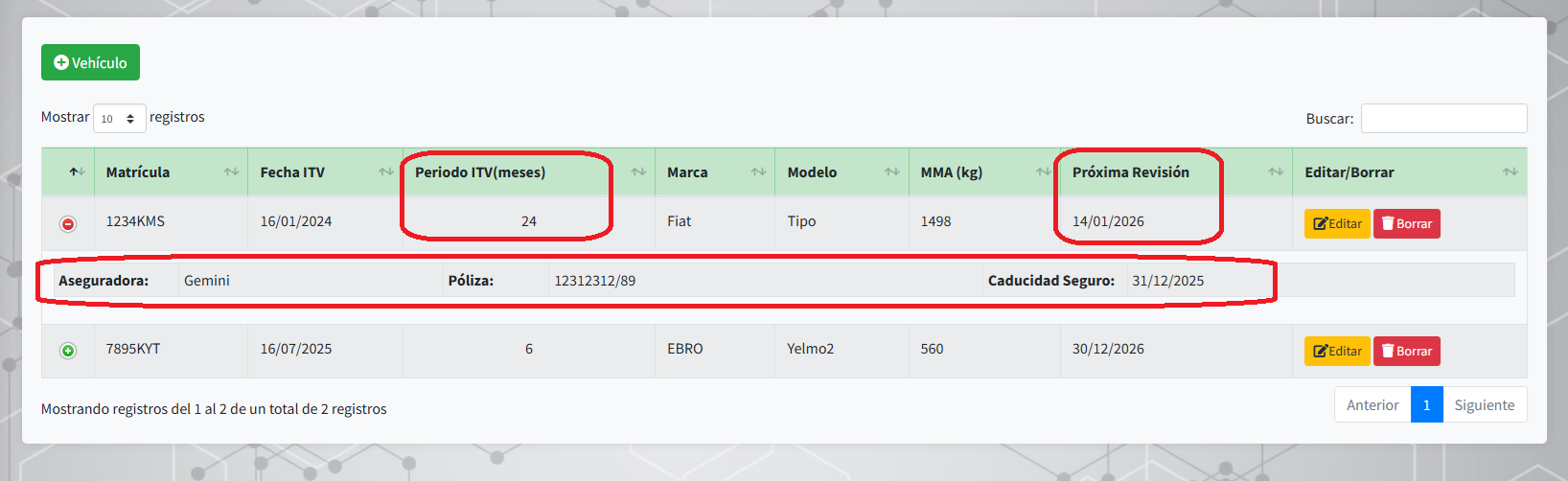 Ficha de Vehículos Ampliada